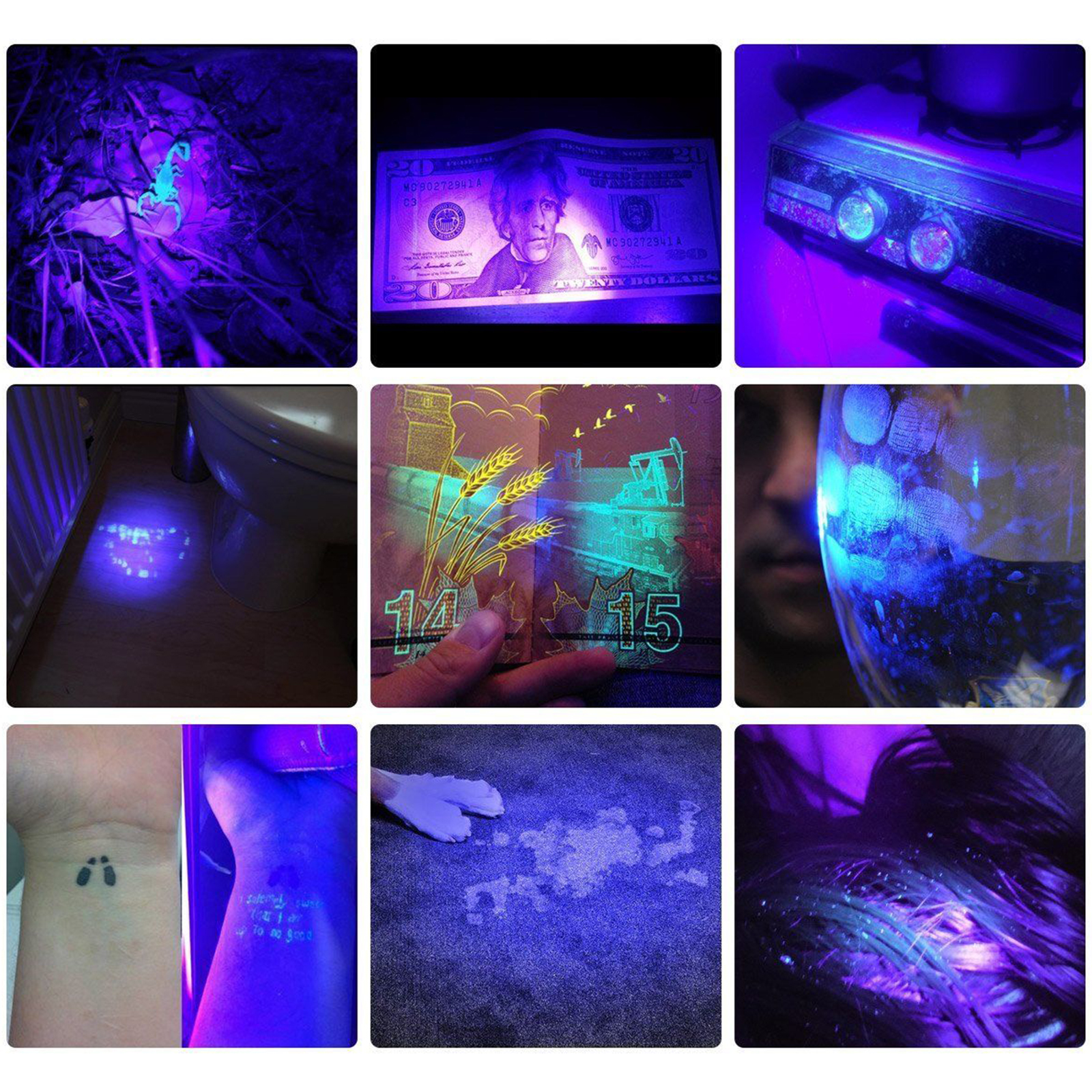 does uv black light attract insects